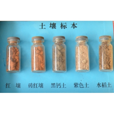 土壤标本