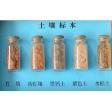 土壤标本