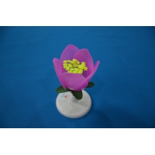 桃花模型